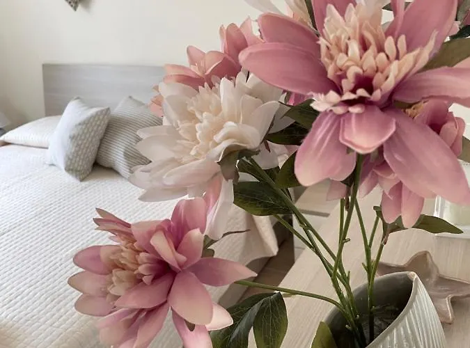 公寓 Maison Giulia 帕基诺